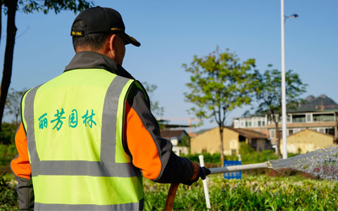 喜讯！九七园林韶关市政道路养护项目获表彰！