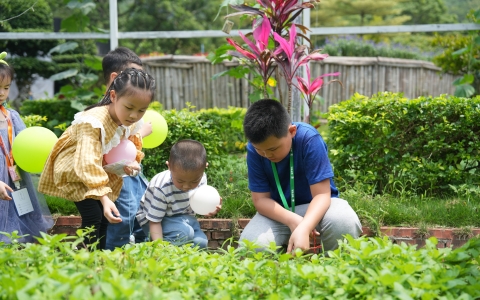 活动预告 | 这个夏天，多场自然教育活动将在九七园林园艺康养科普基地精彩上演